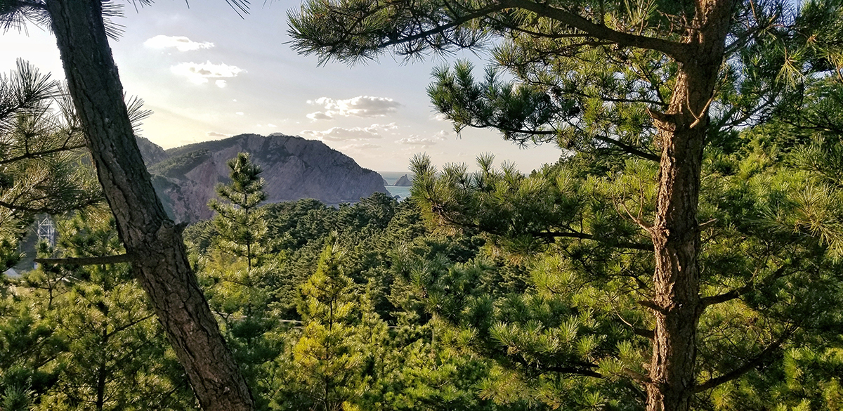 Skog med fjell og vann og trær. Foto