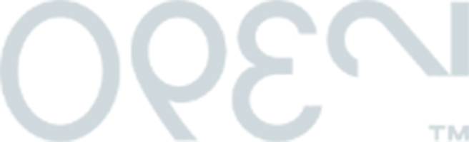 OPEN One Logo