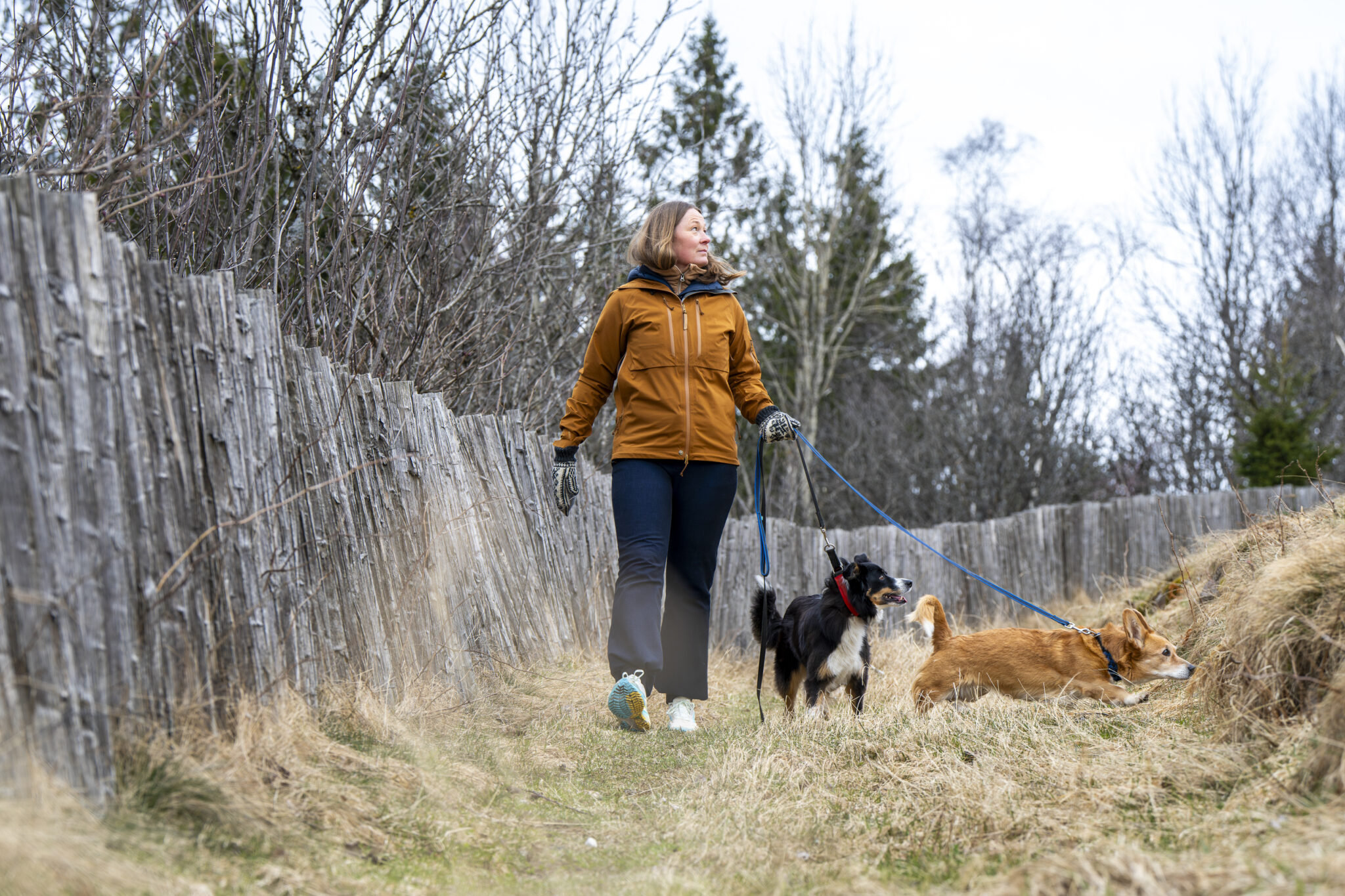 Kvinne g&aring;r tur med to hunder i b&aring;nd langs en sti i skogen, med naturlig landskap og rolig stemning