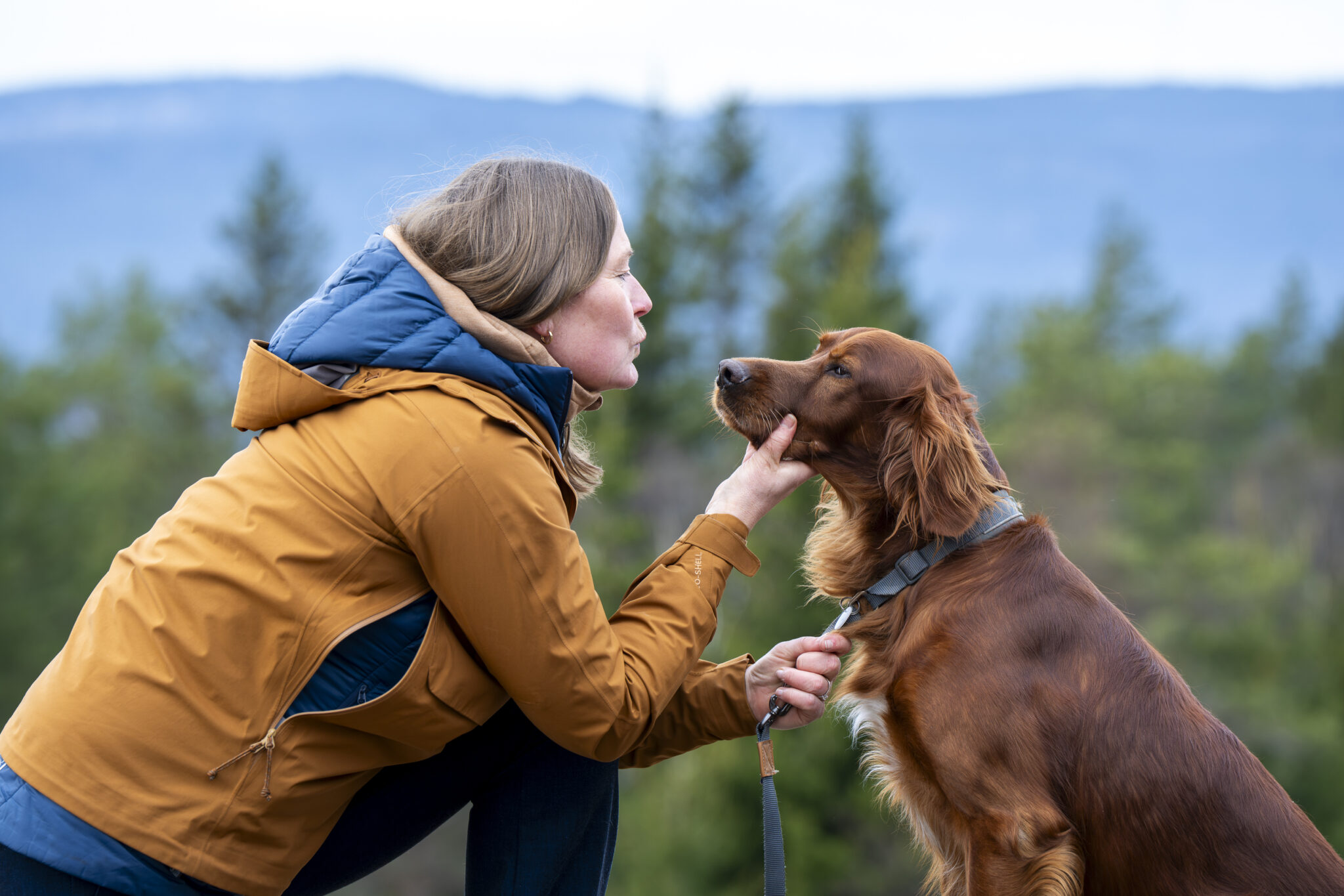Ingvild Bretten Berg fra Norsk Kennel Klub kneler og holder en irsk setter i skogen, med n&aelig;rkontakt og fokus p&aring; samspill mellom hund og eier