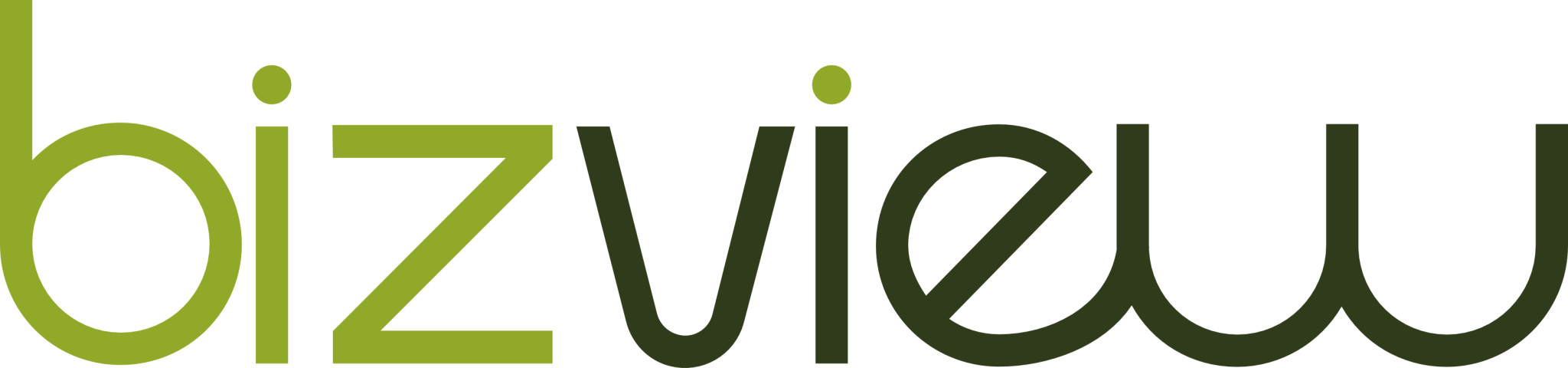 BizView Logo Xledger Integrasjon