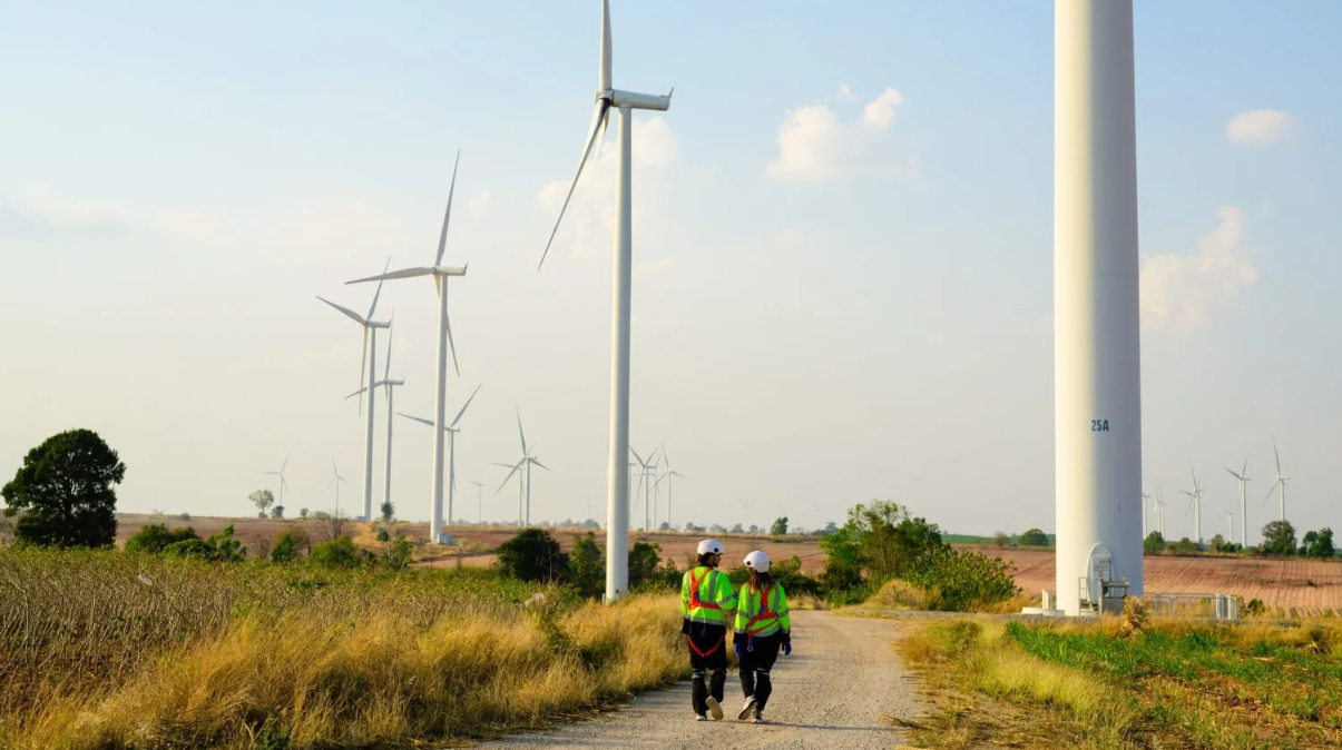 people walking through windmill farm
