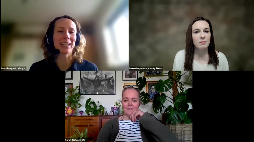 webinar panel preview