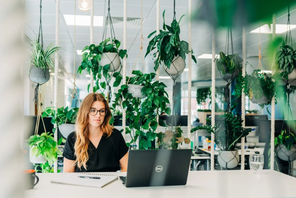 woman on computer in office