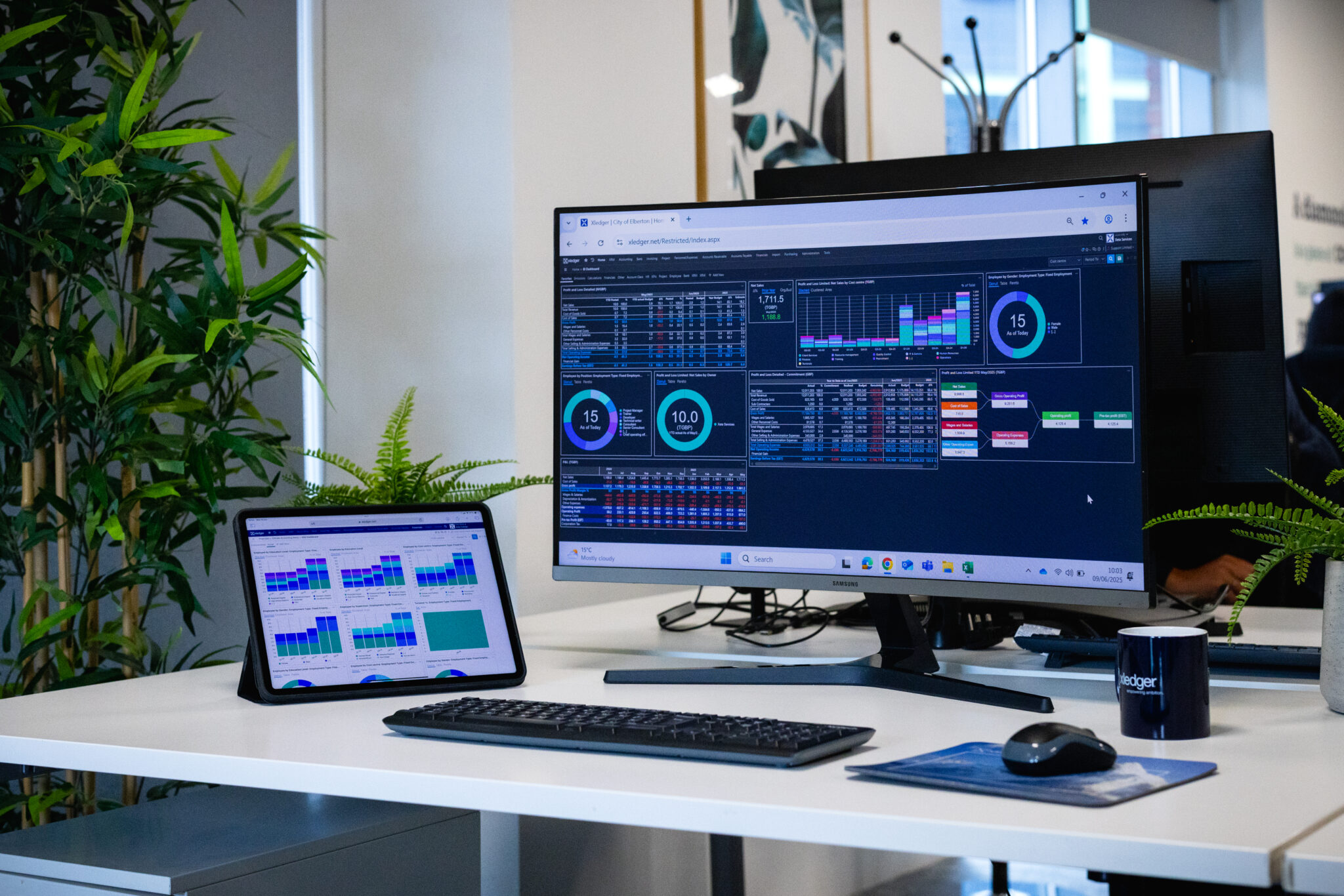 dashboard reports