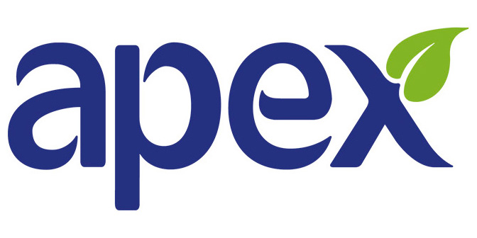 Apex Logo