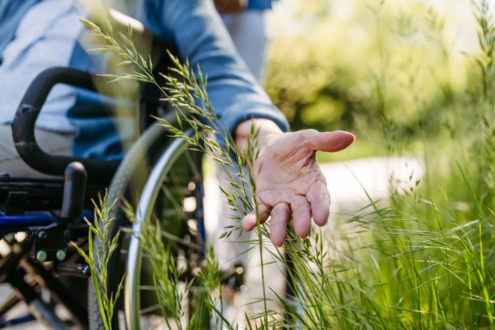 Female caregiver and senior woman in wheelchair picking wild flowers. Nurse and elderly woman enjoying a warm day in nursing home, public park