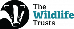 The Wildlife Trust