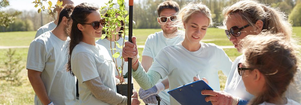 Non-Profit header