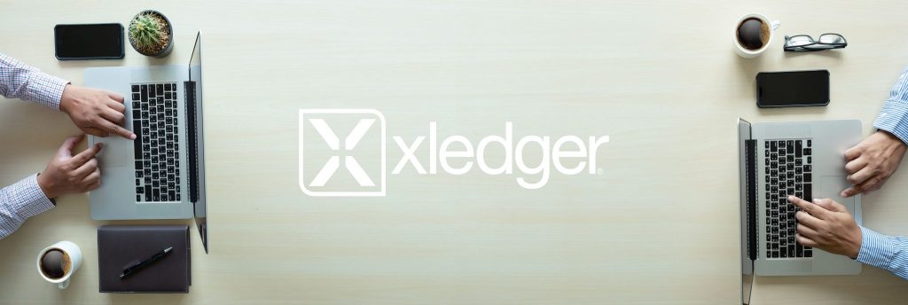 Xledger Financial Insight