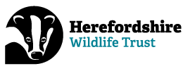 herdfordshire WT logo
