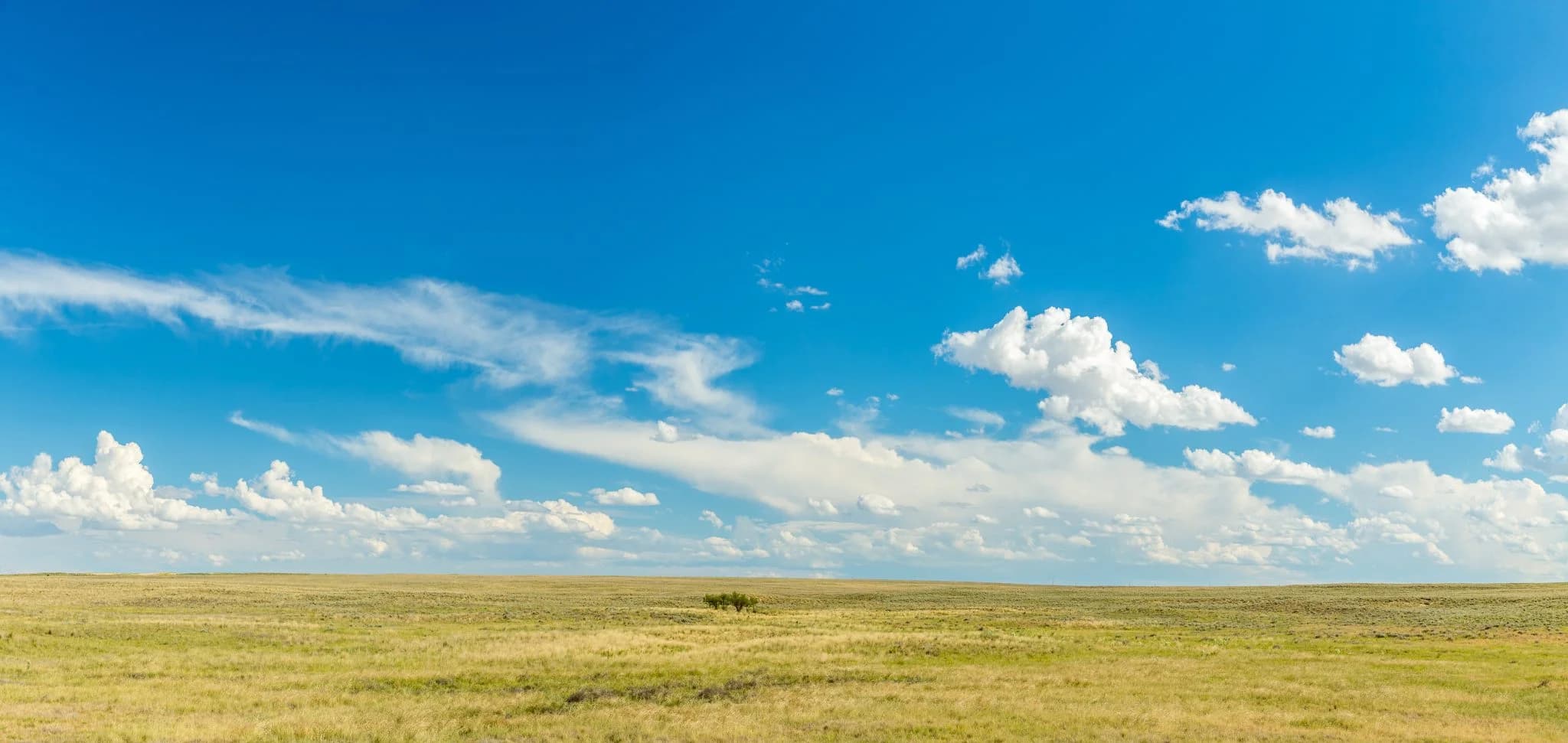 A vast open grassland stretches beneath a bright blue sky filled with scattered white clouds.