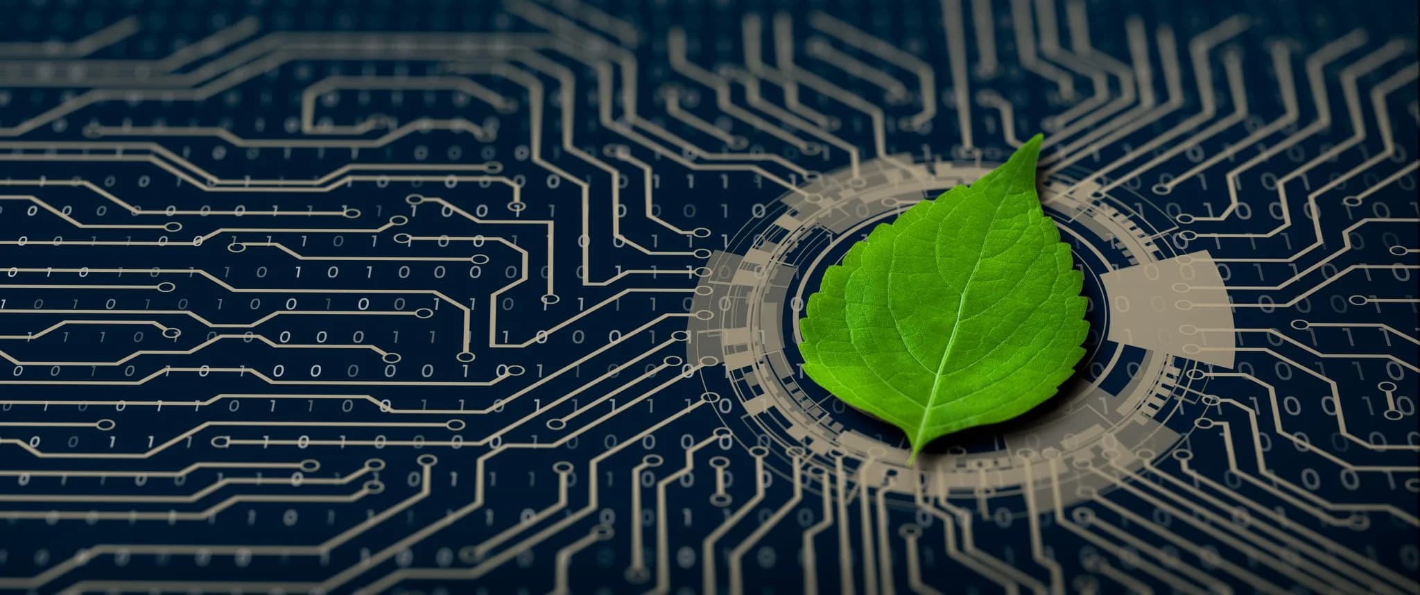 Green leaf placed on a digital circuit board, symbolizing sustainable technology.